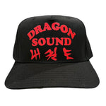 Dragon Sound Hat
