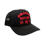 Dragon Sound Hat